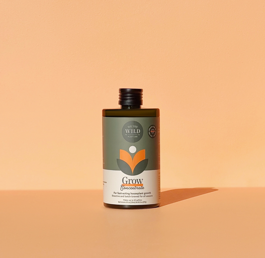 We The Wild Grow Concentrate