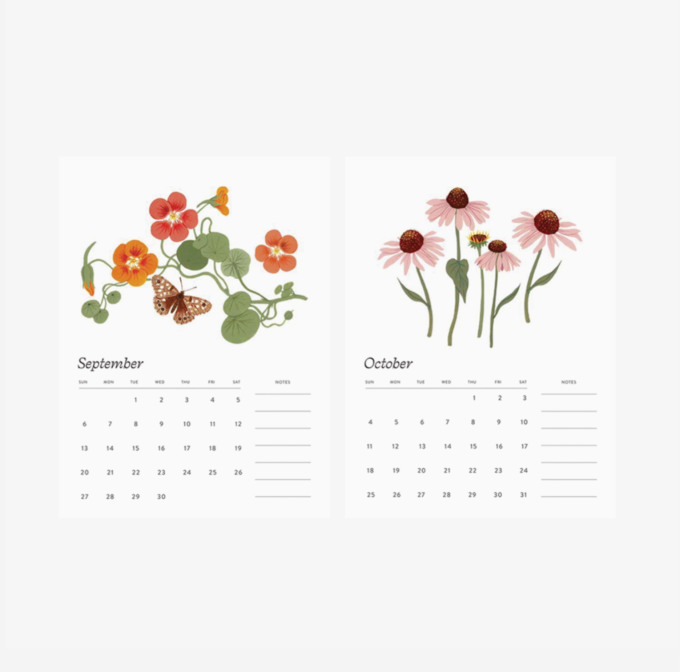 Botanica Paper Co 2026 Desk Calendar
