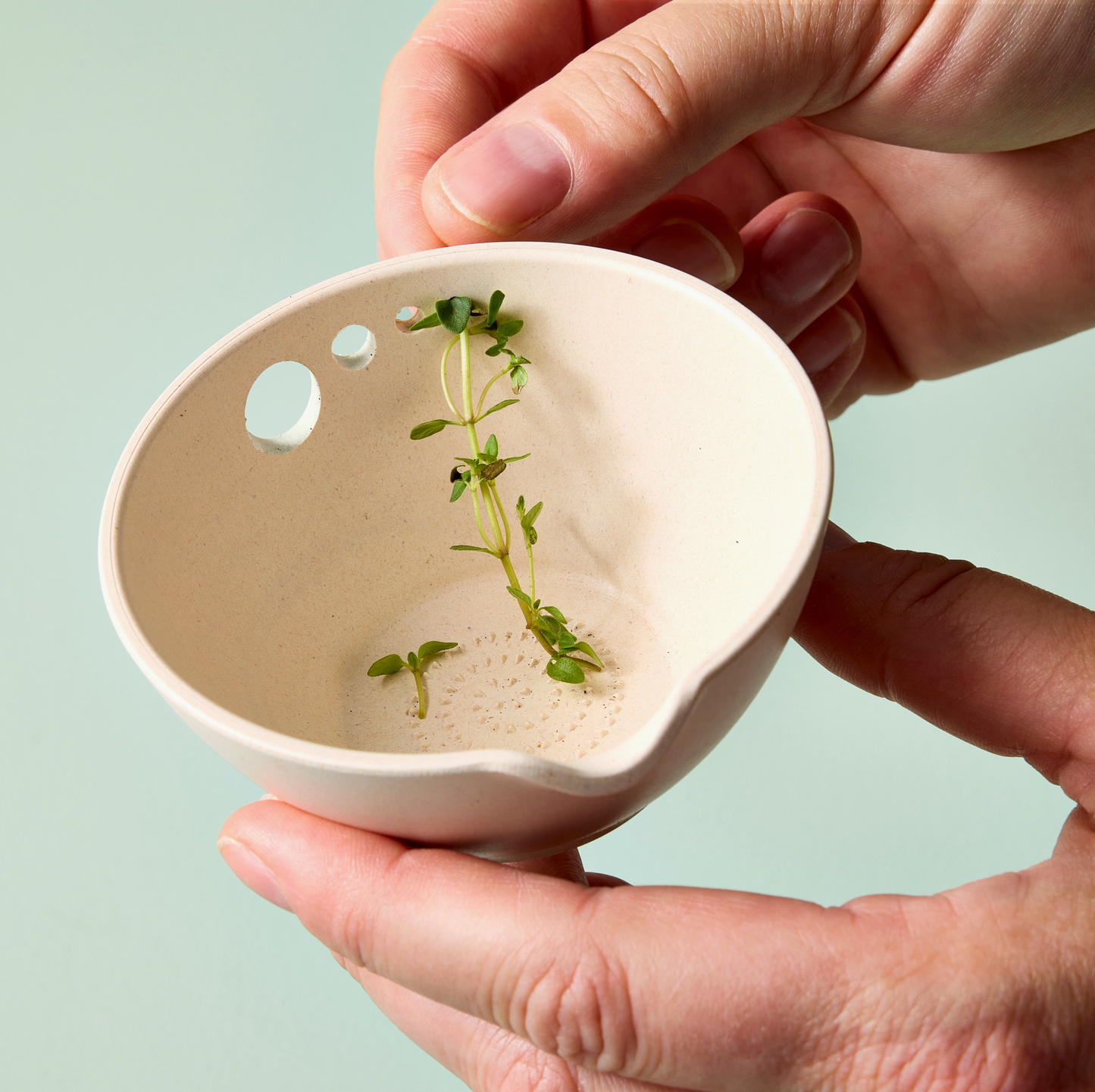 Modern Sprout Peel Grate Prep Dish