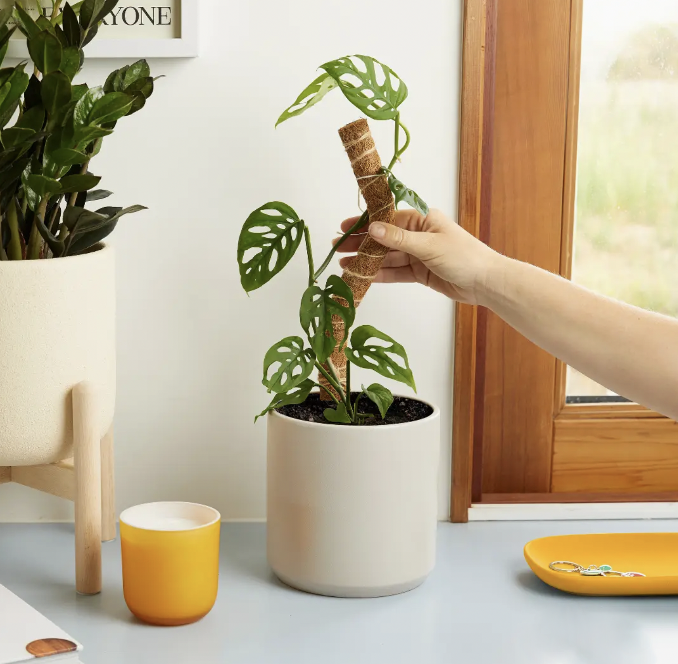 Coconut Coir Grow Pole 16"