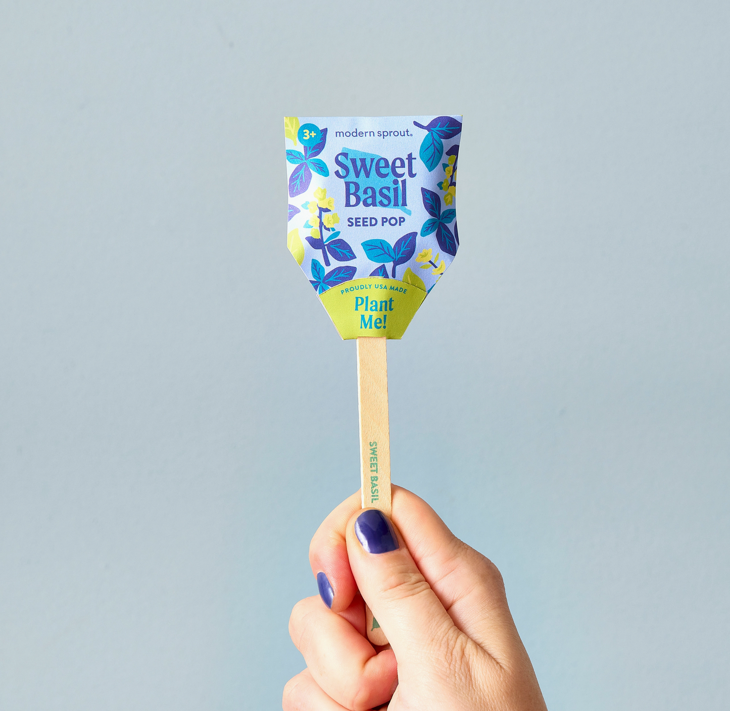 Seed Pop : Sweet Basil