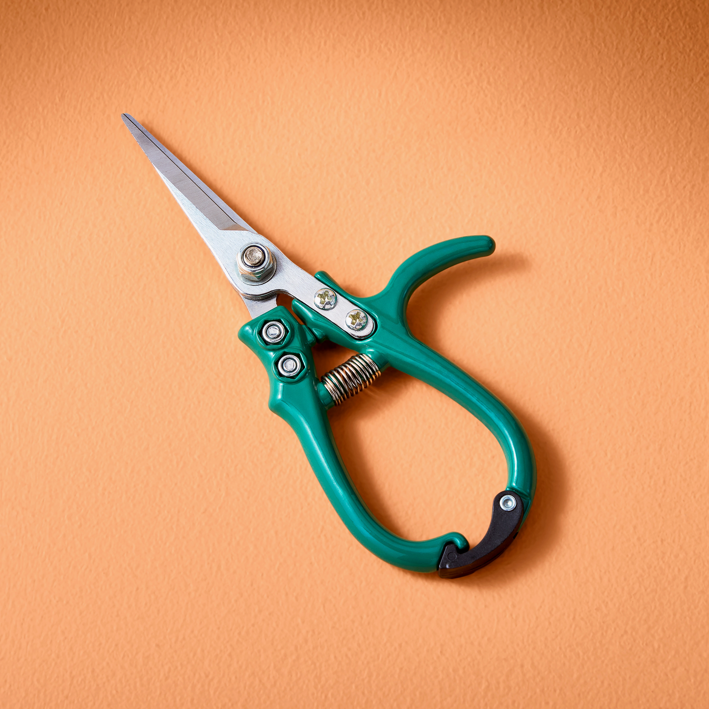 Garden Shears - Ocean