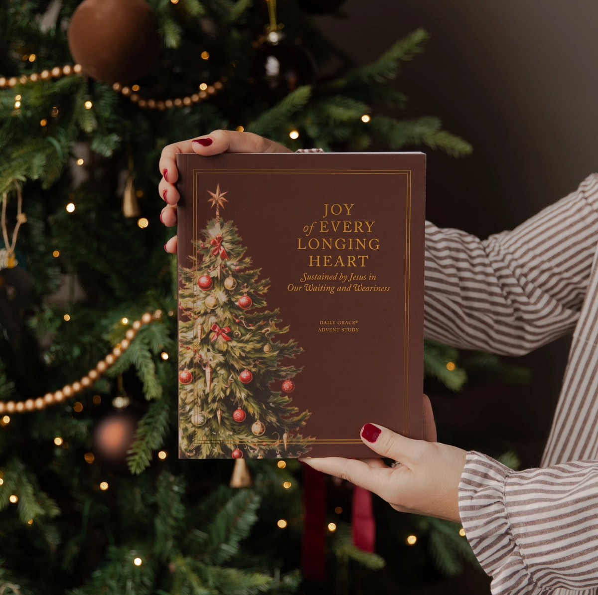 Joy of Every Longing Heart Advent Study
