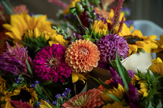 Summer & Fall Bouquet Subscription