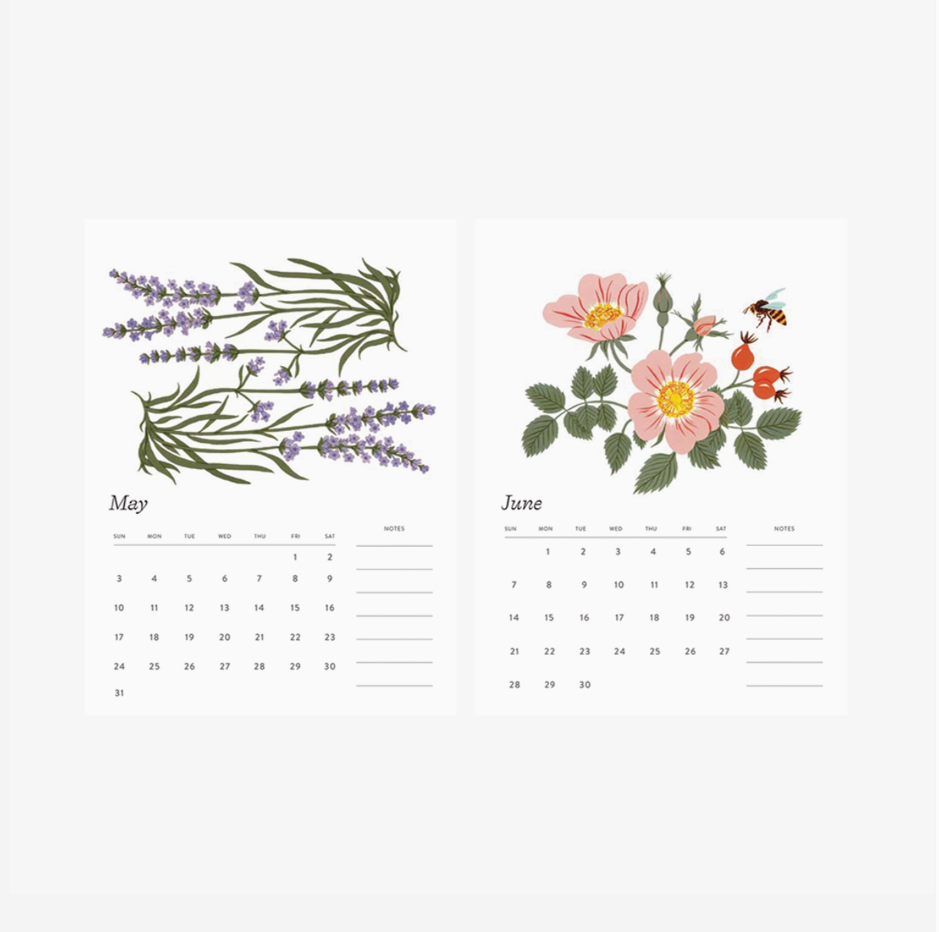 Botanica Paper Co 2026 Desk Calendar