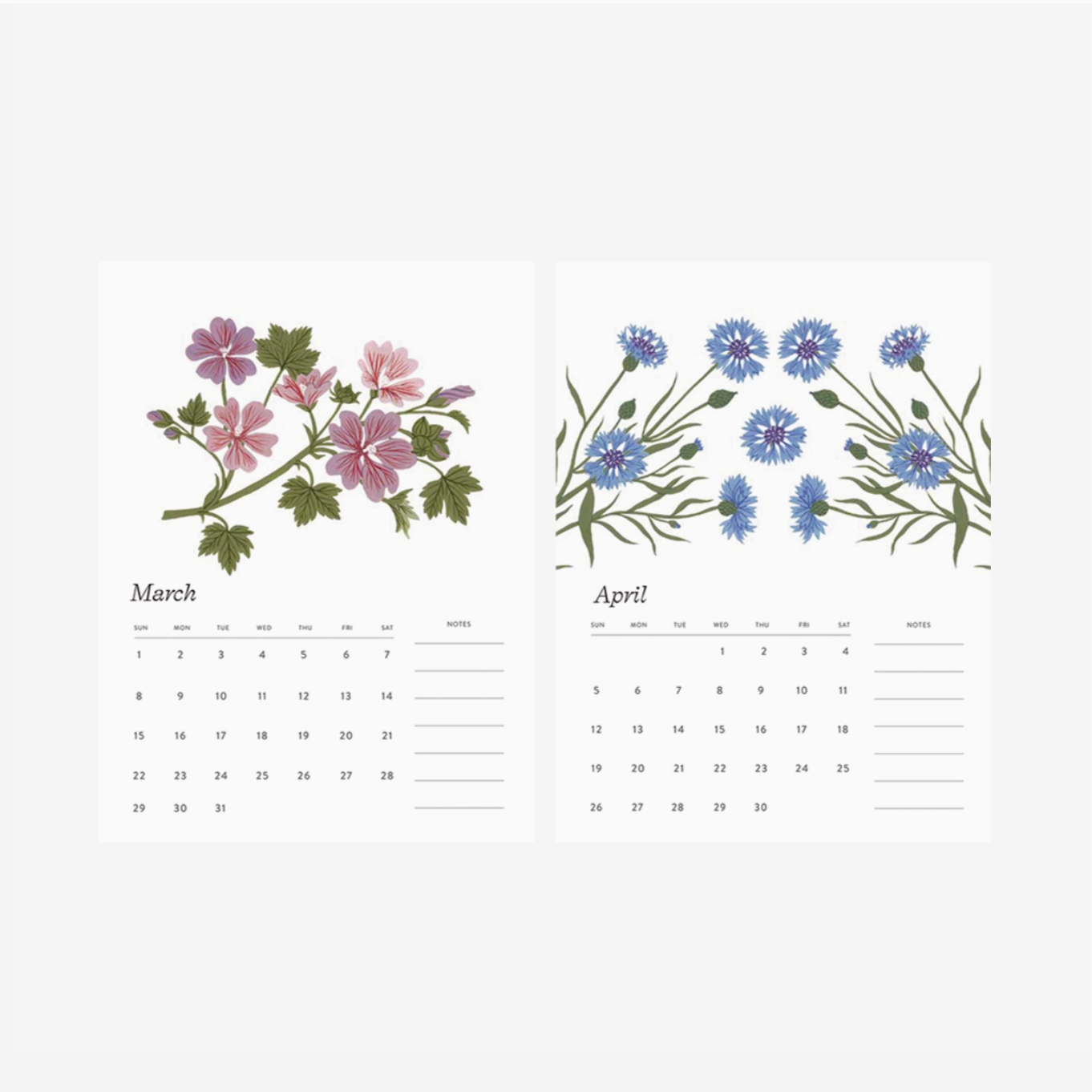 Botanica Paper Co 2026 Desk Calendar