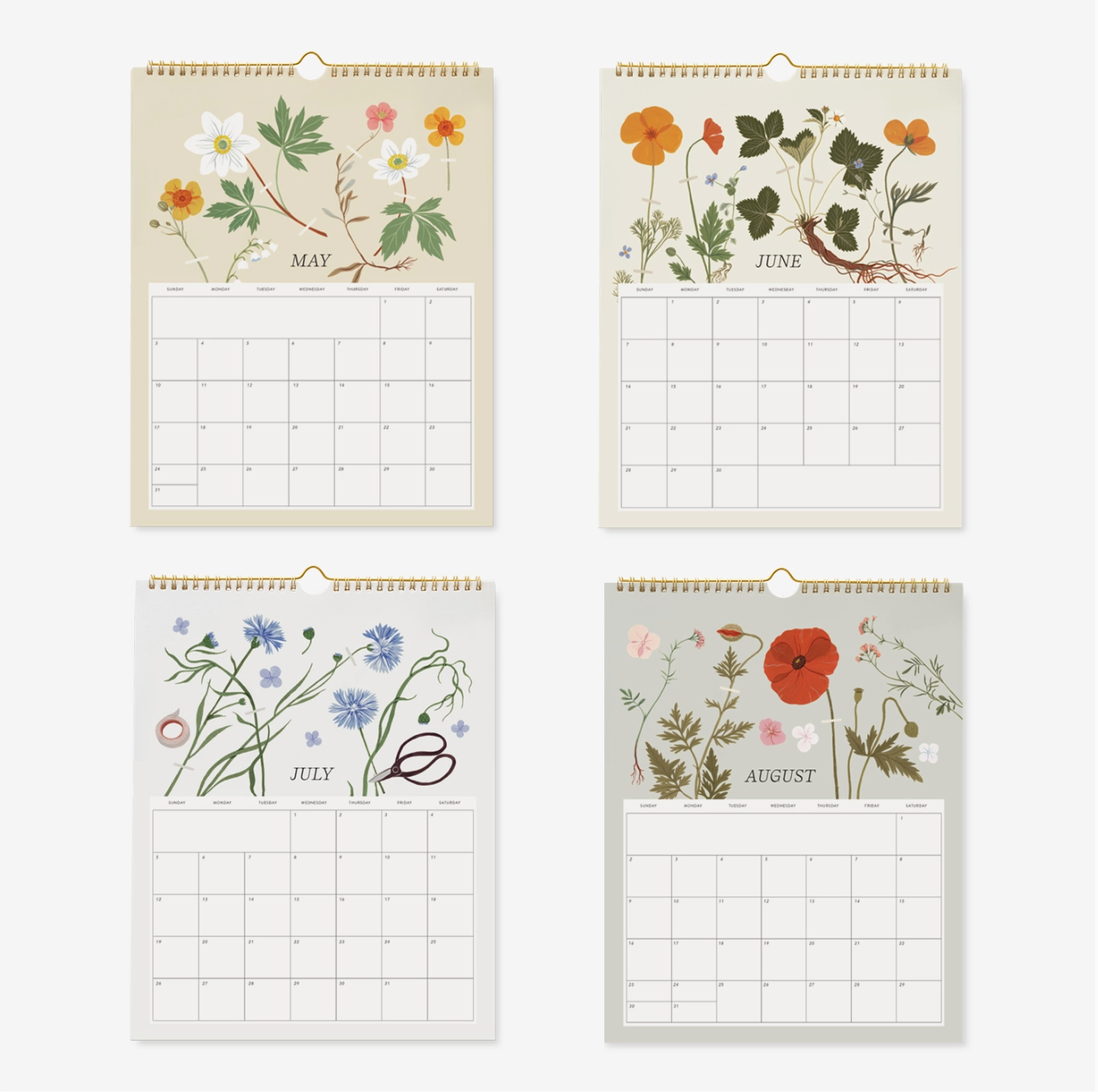 Botanica Paper Co 2026 Wall Calendar