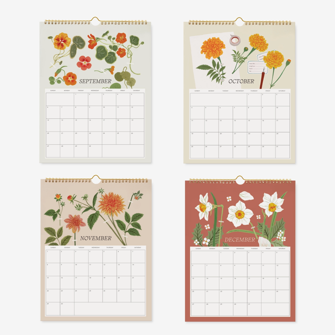 Botanica Paper Co 2026 Wall Calendar