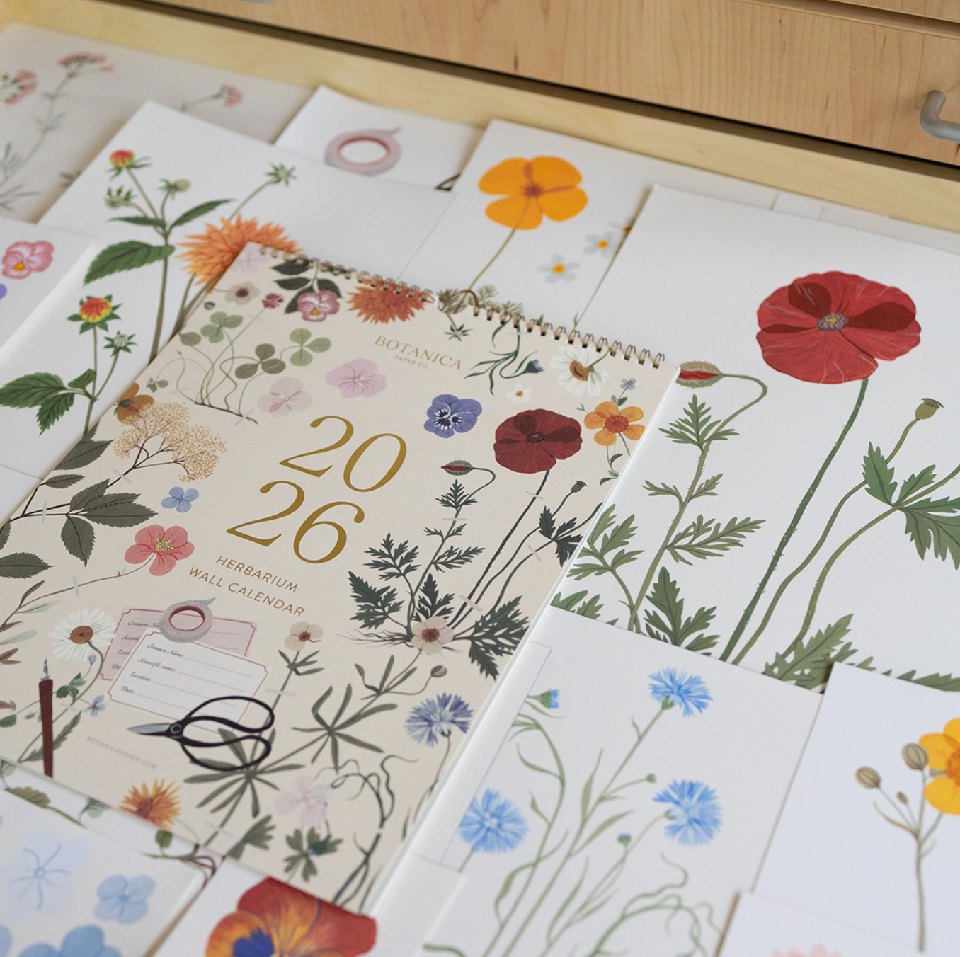 Botanica Paper Co 2026 Wall Calendar