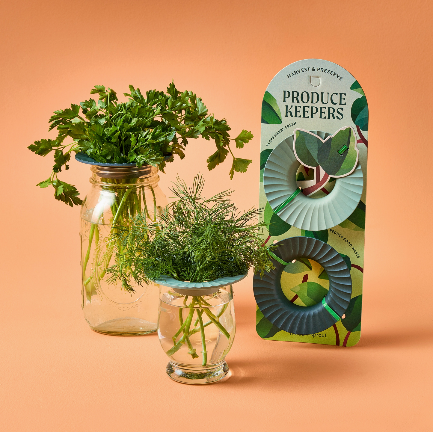 Modern Sprout Produce Keepers s/2
