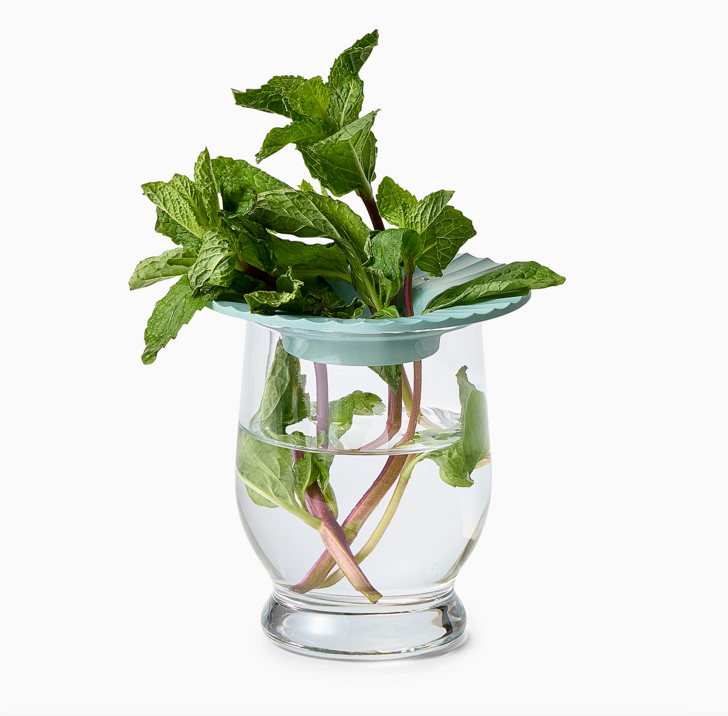 Modern Sprout Produce Keepers s/2