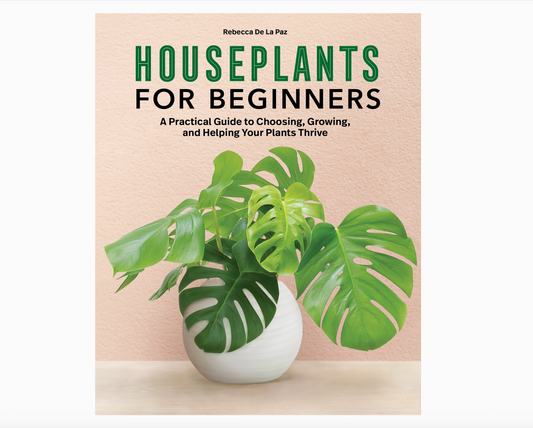 Houseplant for Beginners