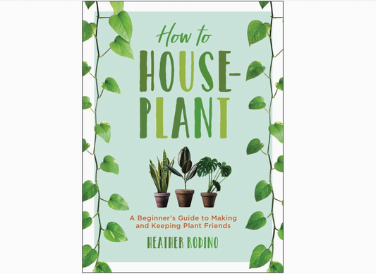 How To Houseplant
