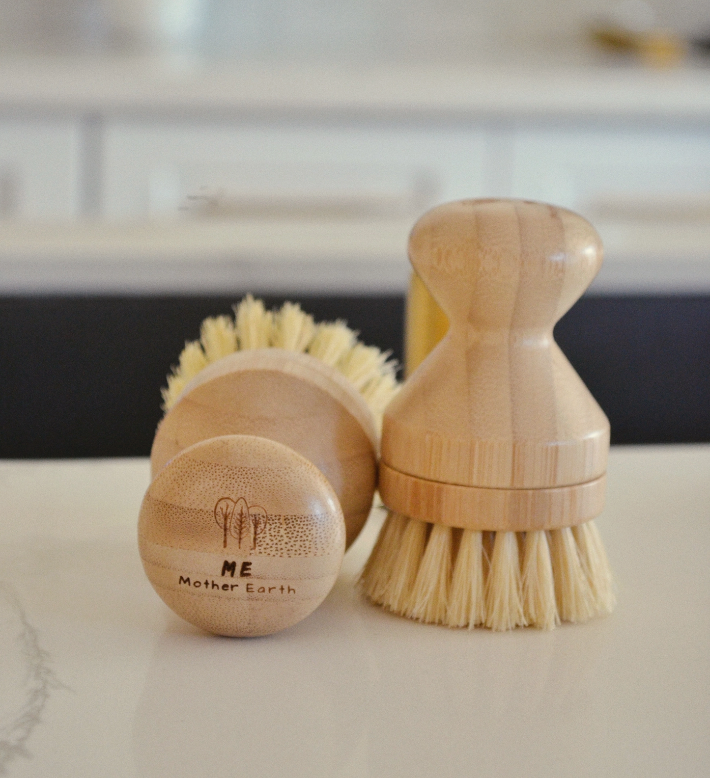 Modular Sisal Hand Brush