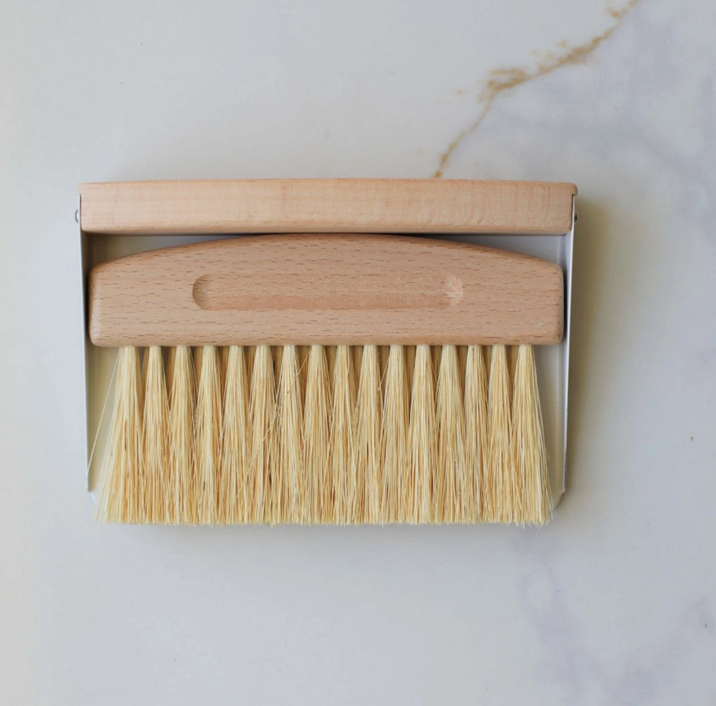 Mini Broom and Dustpan Set