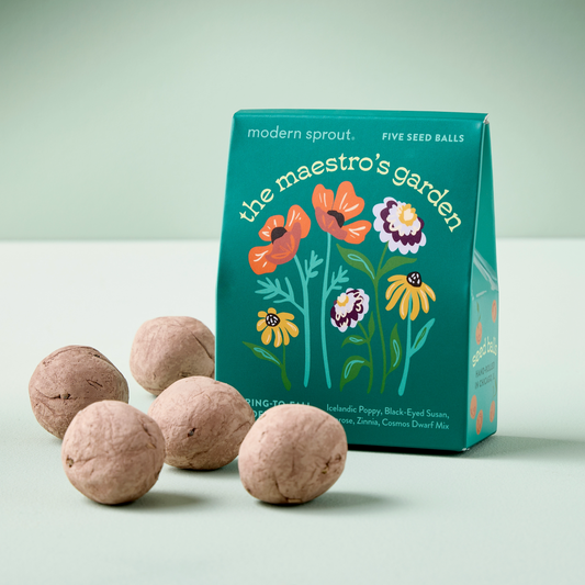 Seed Balls : The Maestro's Garden
