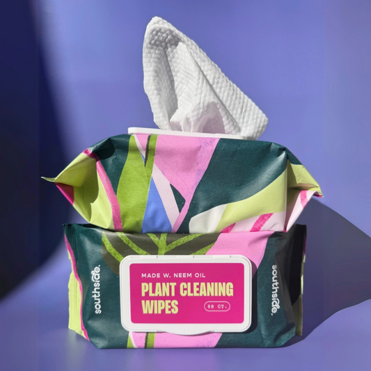 Houseplant Cleaning Wipes