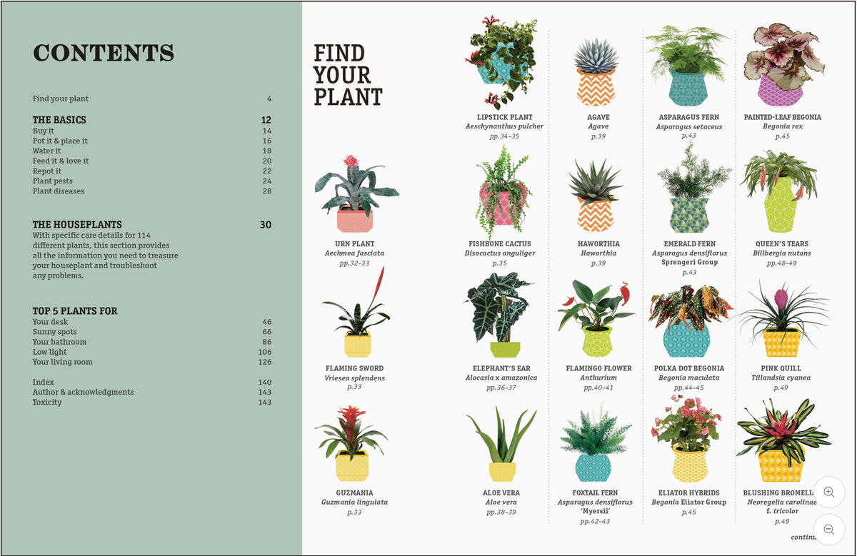 How Not To Kill A Houseplant