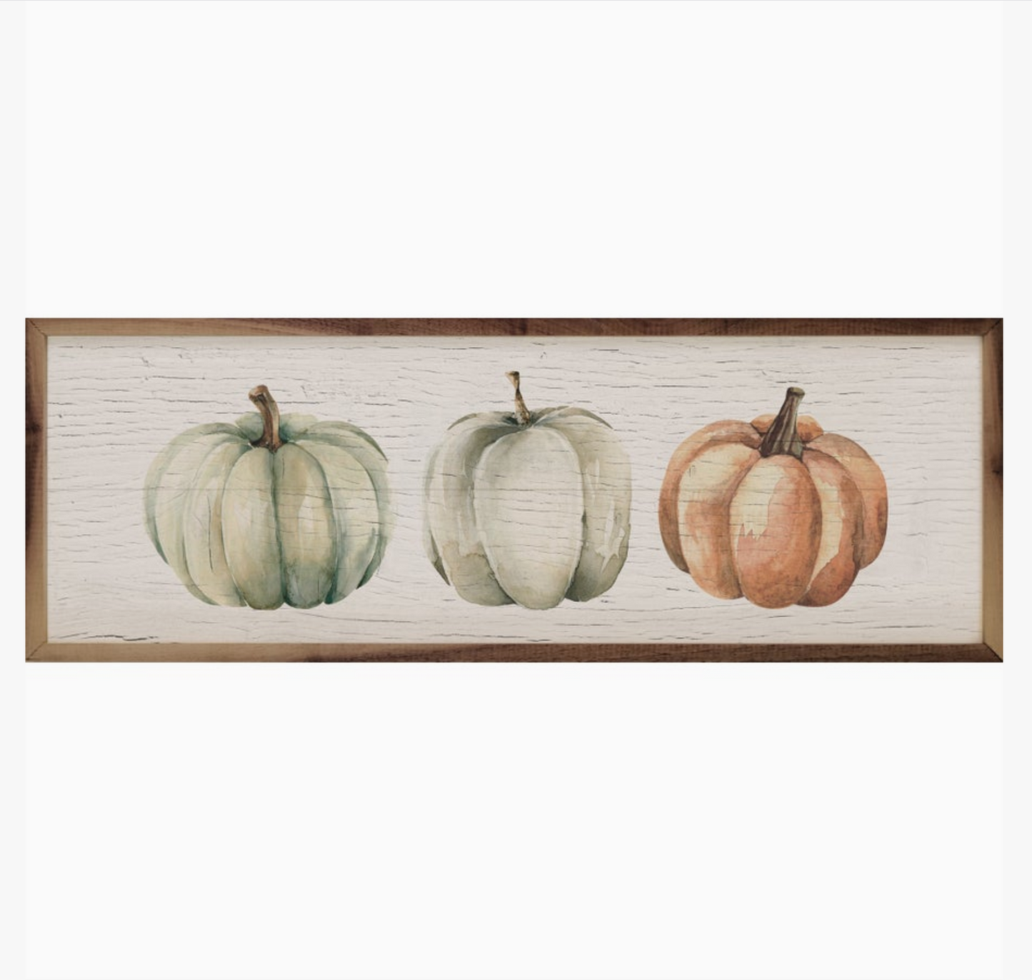 Three Pumpkin 12x4 Framed Print