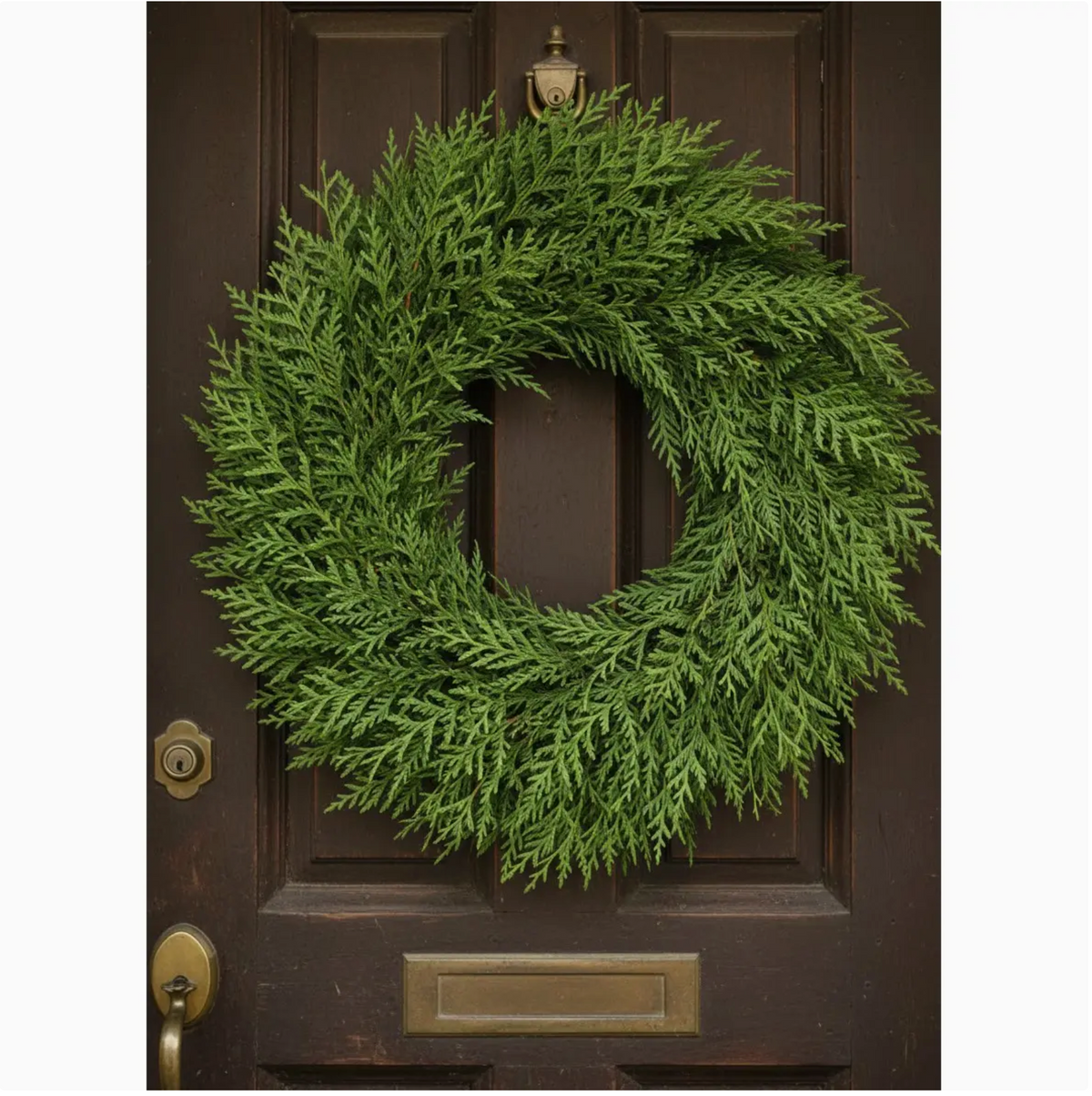 Winter Evergreen Wreath