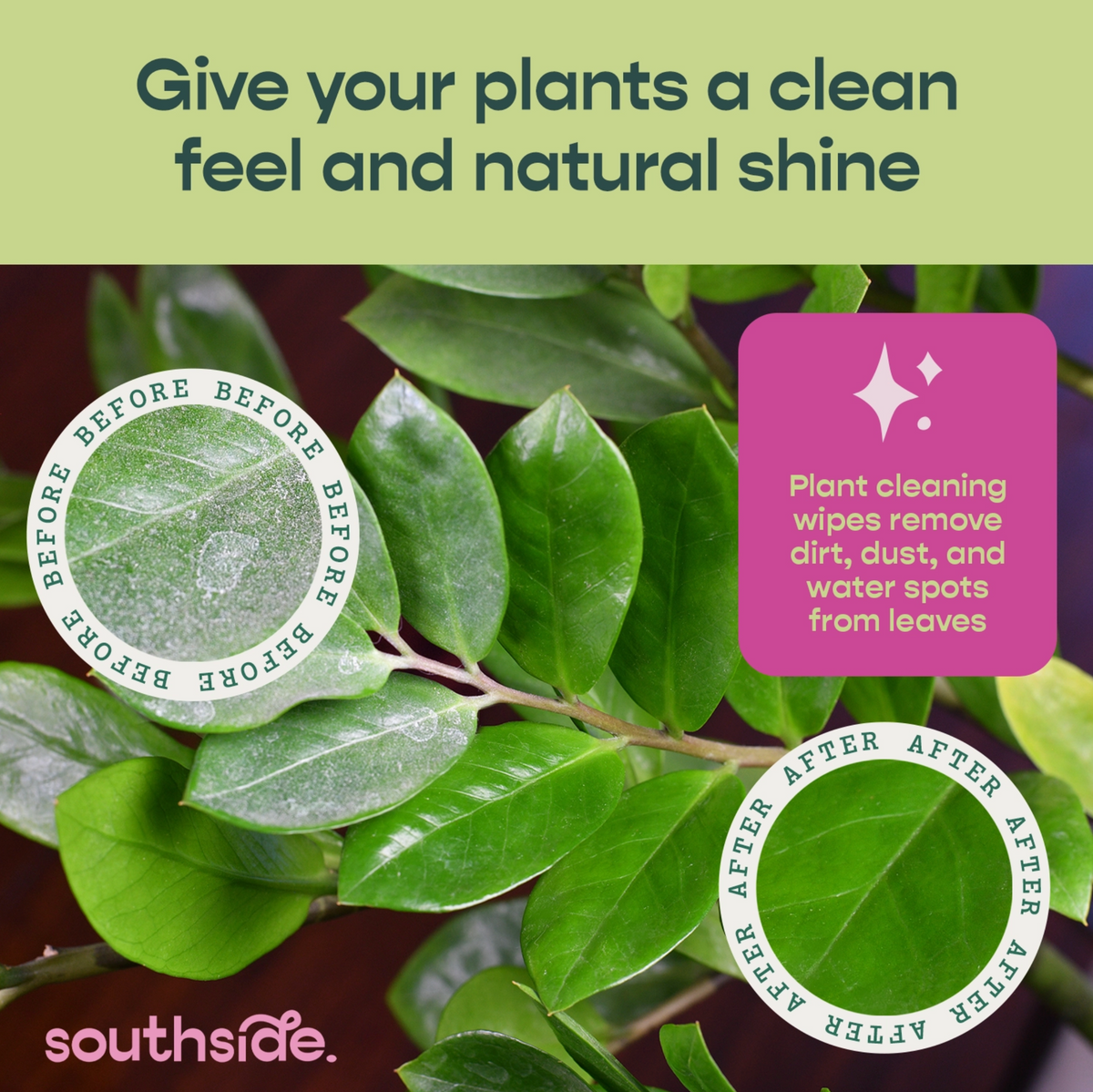 Houseplant Cleaning Wipes